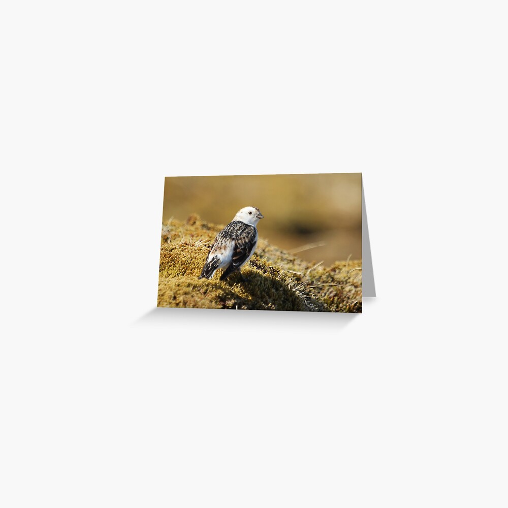 Item preview, Greeting Card designed and sold by orcadia.