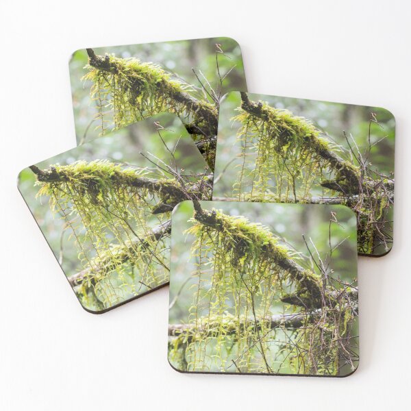 Item preview, Nature's Delicate Beauty designed and sold by Linda Lees.