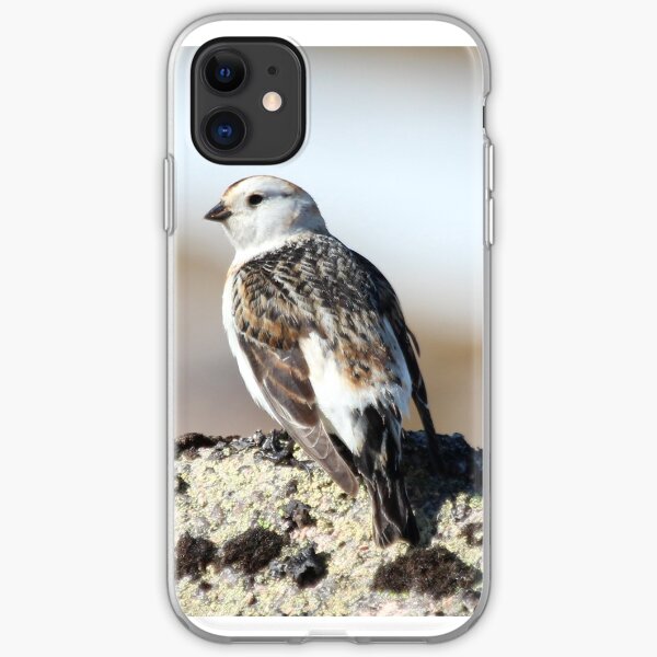 Snow bunting iPhone Soft Case