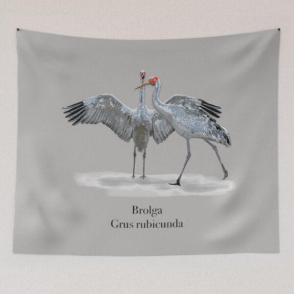 Item preview, Brolga (Grus rubicunda) by Chrissy Wild on grey designed and sold by ChrissyWild.