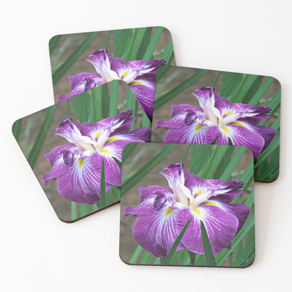 Item preview, Dark Purple Japanese Iris designed and sold by Linda Walsh.
