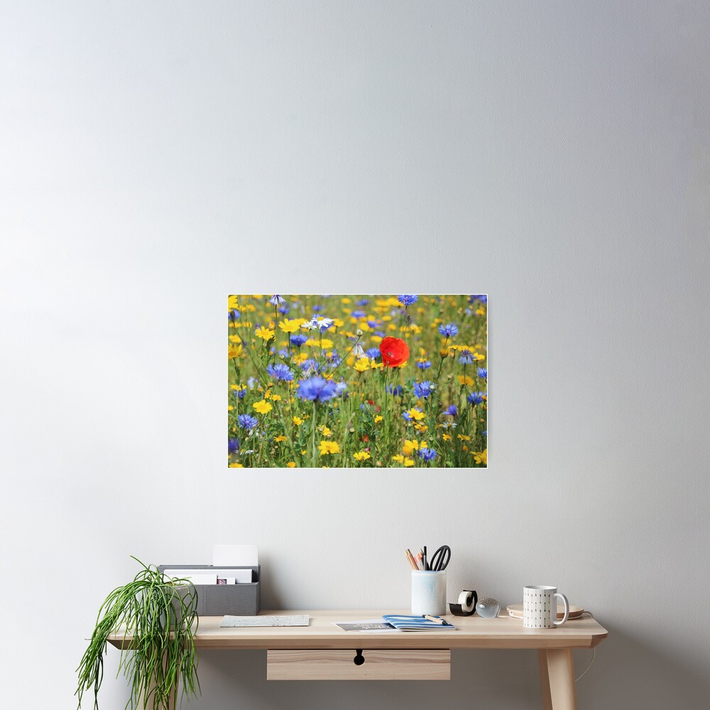 Wildflowers Poster