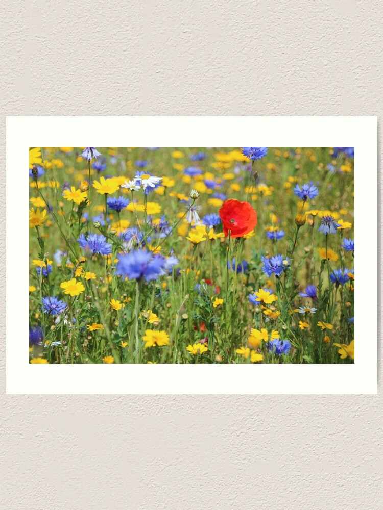 Alternate view of Wildflowers Art Print