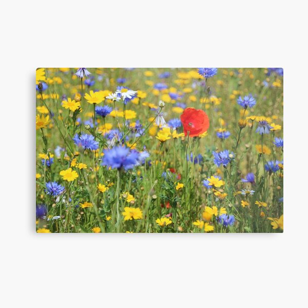 Wildflowers Metal Print