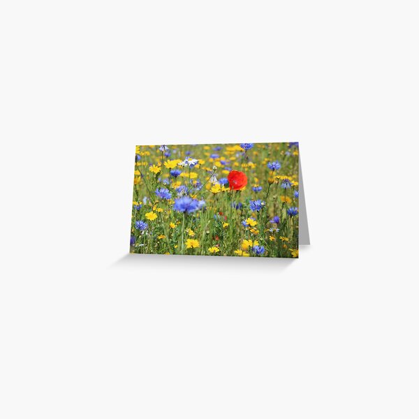 Wildflowers Greeting Card
