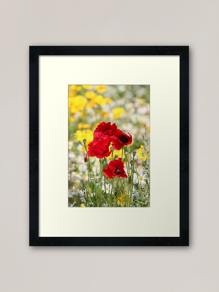 Alternate view of Poppy portrait Framed Art Print