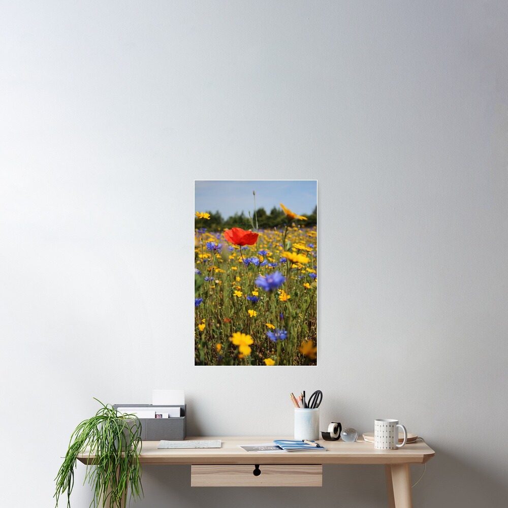Wildflower meadow Poster