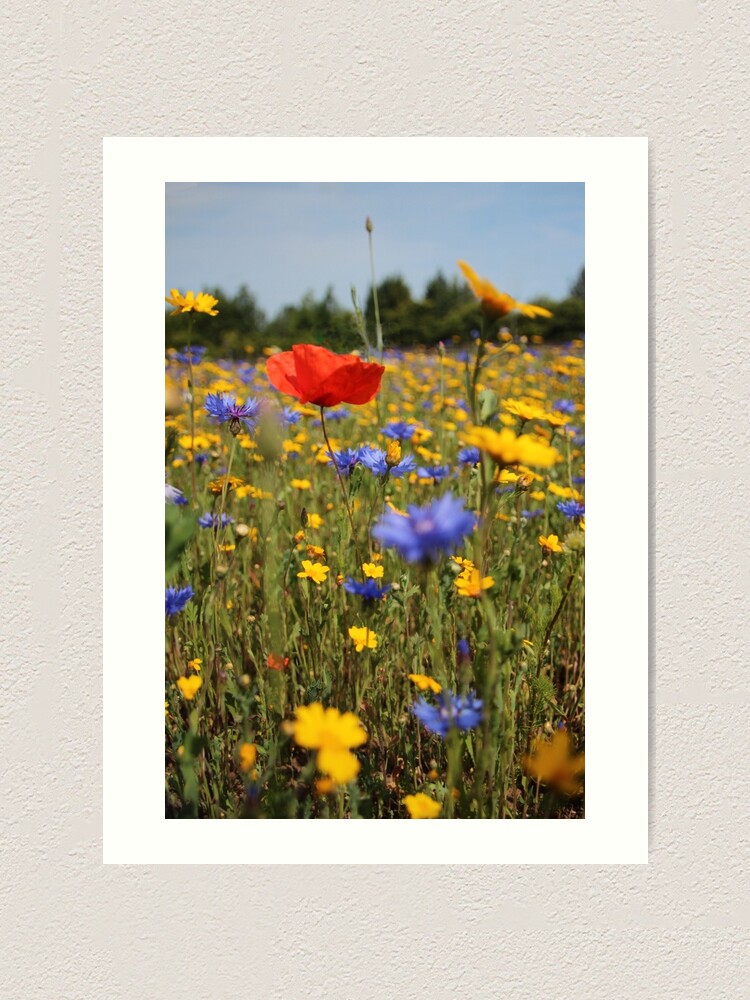 Alternate view of Wildflower meadow Art Print