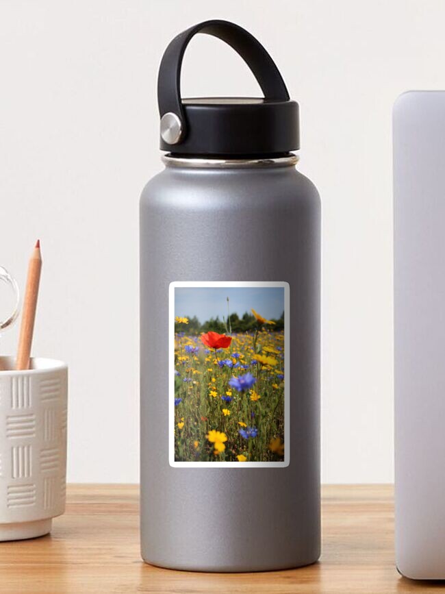 Sticker, Wildflower meadow designed and sold by Fiona MacNab