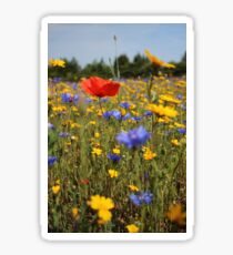Wildflower meadow Sticker