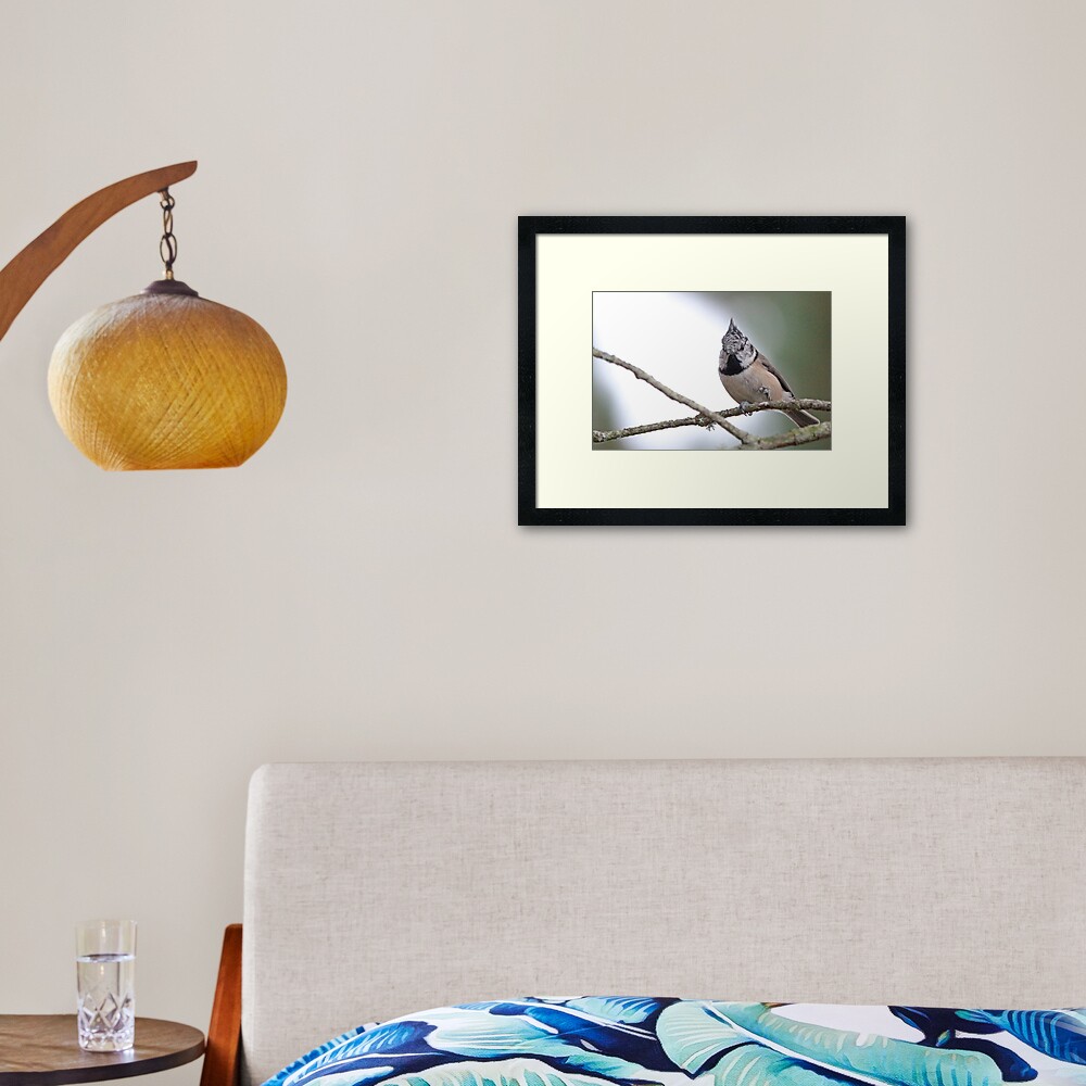 Crestie Framed Art Print