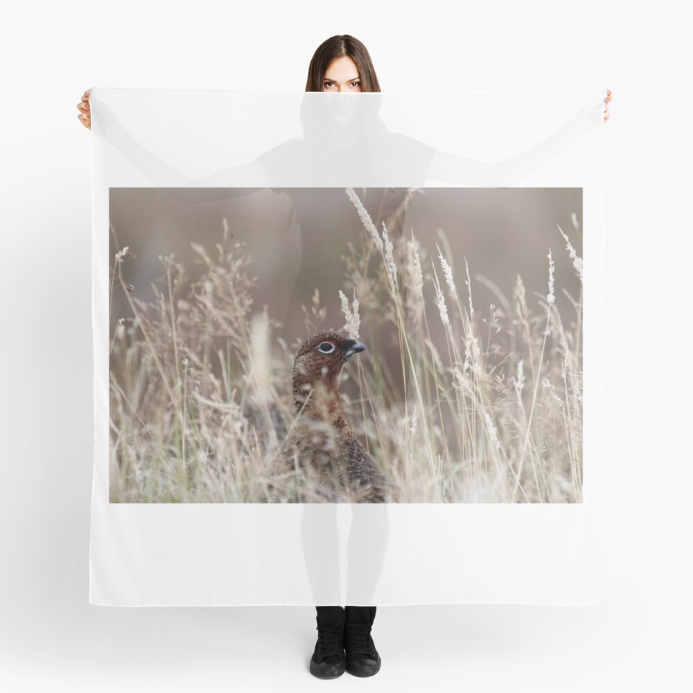 Grouse pose Scarf