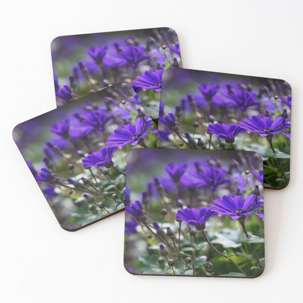 Artikelvorschau, Purple Pericallis Senetti Flowers close up in bloom entworfen und verkauft von EG Creativity Art.
