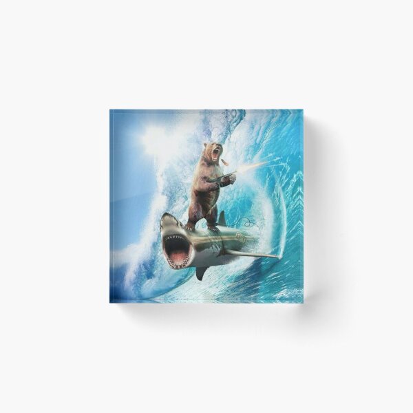 Bear Surfing On Shark Acrylic Block