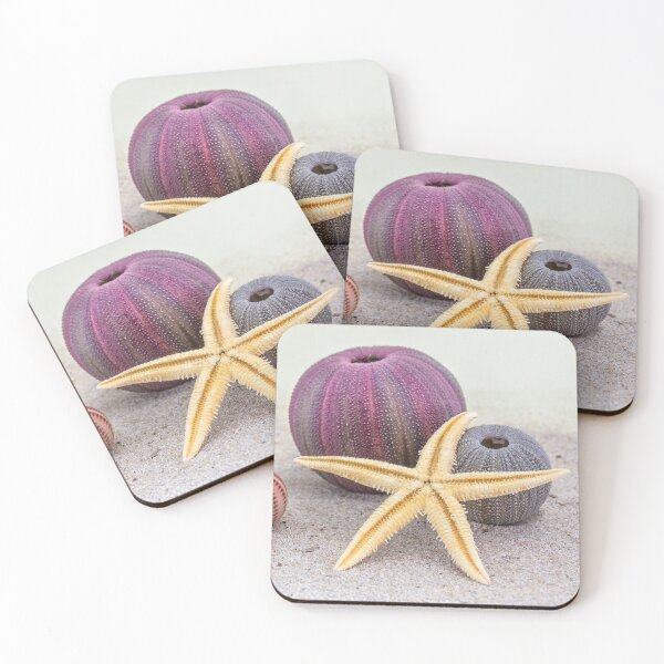 Item preview, Sea urchins and starfish designed and sold by Leanne Van Den Berg.