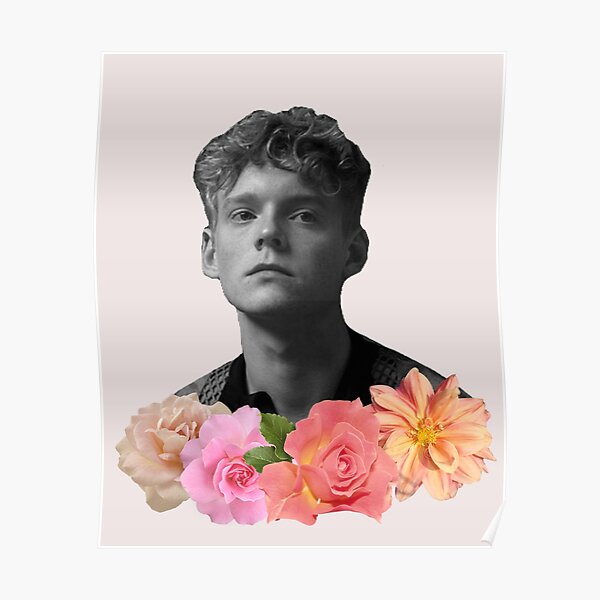 rasmus aesthetic Poster