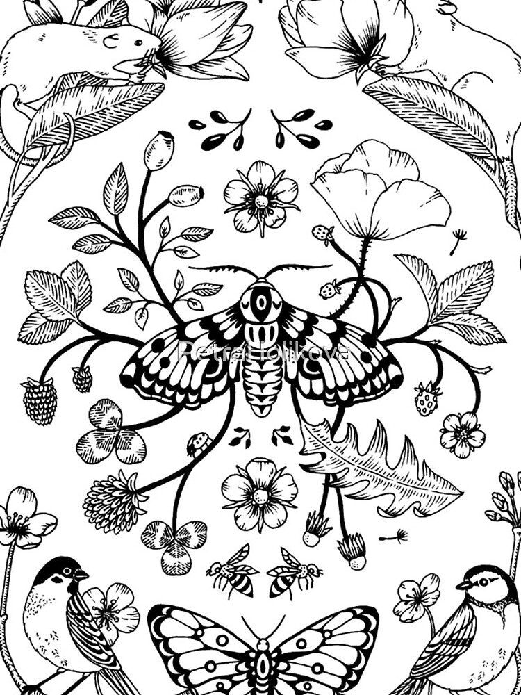 Moth with Rats and Birds by PetraHolikova