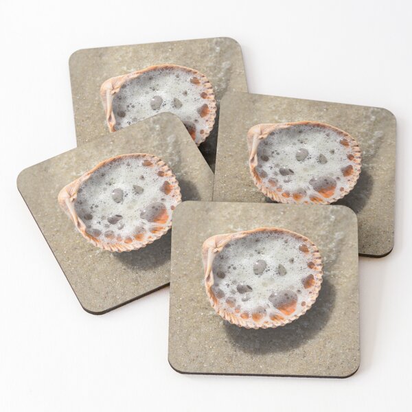 Item preview, Foamy Seashell on Florida Beach designed and sold by Catherine Sherman.