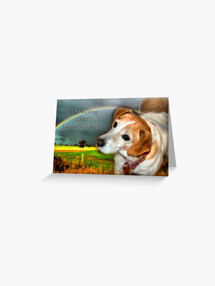 Loss Of Pet >> Sympathy Card For Loss Of Pet Dog Greeting Card Loss Of Pet >> Sympathy Card For Loss Of Pet Dog Greeting Card