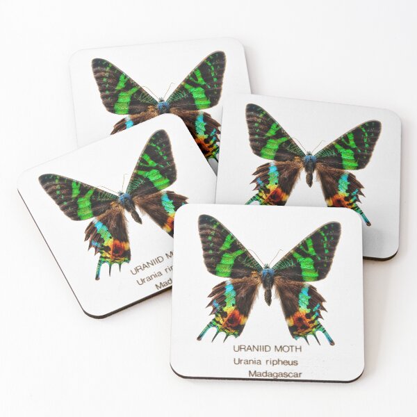 Item preview, Uraniid Moth designed and sold by AntSmith.