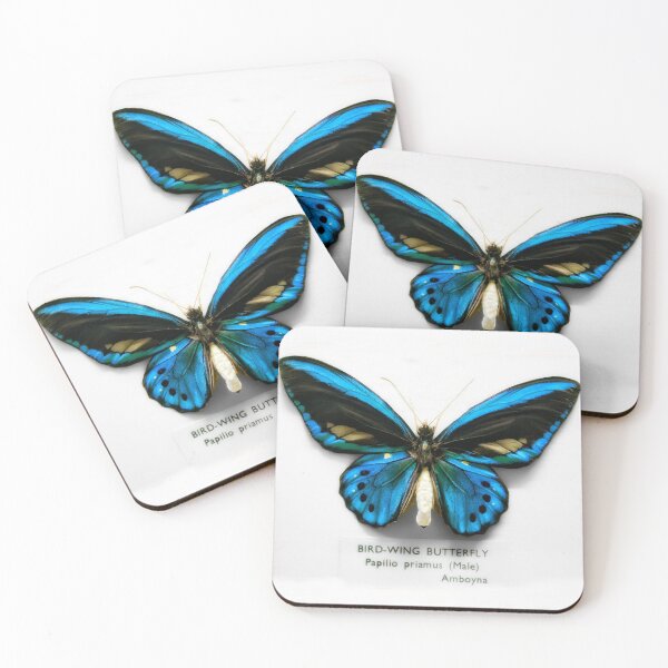 Item preview, Bird-wing Butterfly designed and sold by AntSmith.