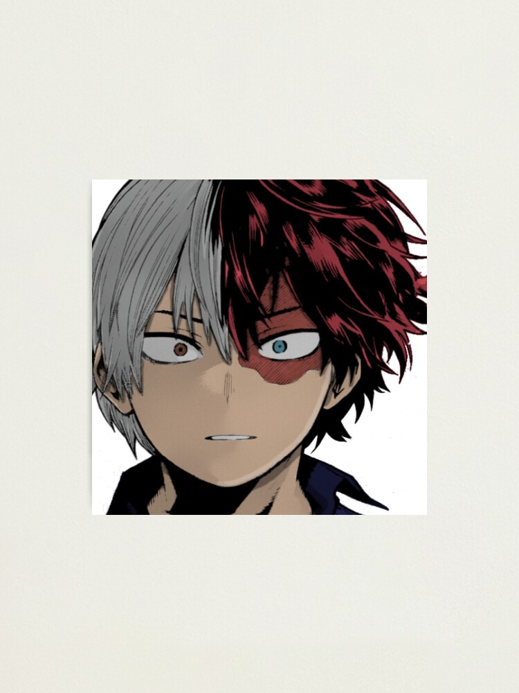 shoto todoroki sticker photographic print for sale by modmomo redbubble