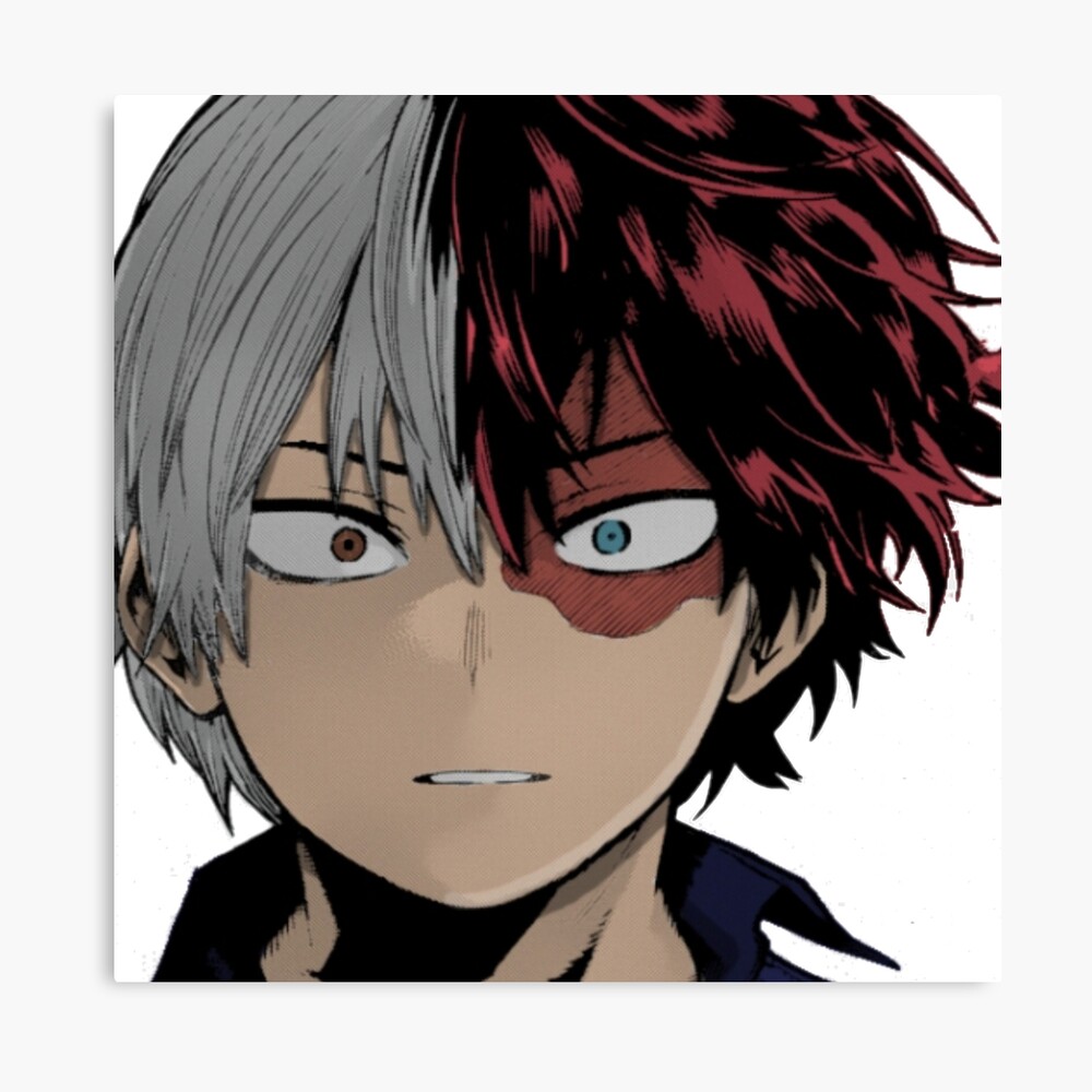 shoto todoroki sticker photographic print by modmomo redbubble