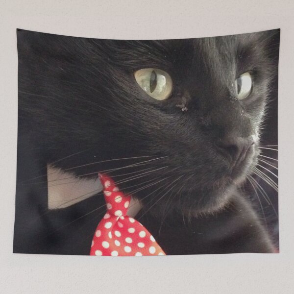 Item preview, Rufus in a tie (Black Cat) designed and sold by jeremydwilliams.