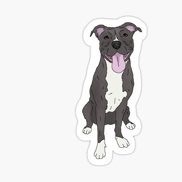 Beware Protected by Pit Bull Terrier with Attitude - Blue Nose  SLAP-STICKZ(TM) Automotive Car Window Locker Bumper Sticker