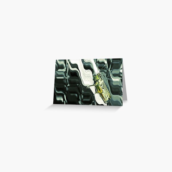 Hopper Art Greeting Card