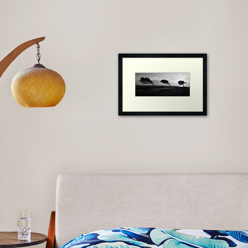 Twisted Trees - Norfolk Island Framed Art Print