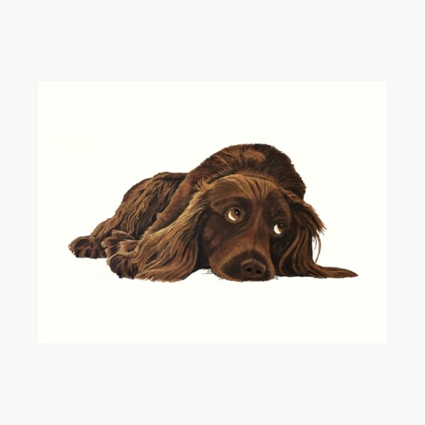 Appealing Spaniel - Wall Art Art Print