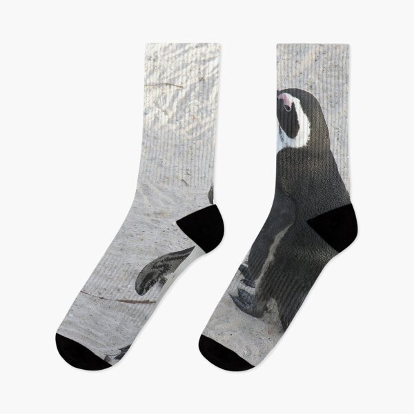 Item preview, Two African Penguins Boulders Beach, Cape Town, South Africa designed and sold by worldways.