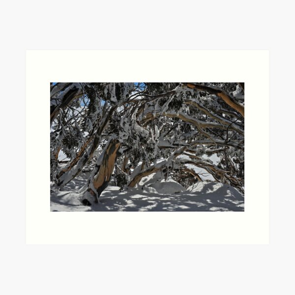 Item preview, Snowy tree tunnel designed and sold by Colin12.