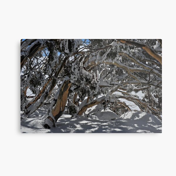 Item preview, Snowy tree tunnel designed and sold by Colin12.