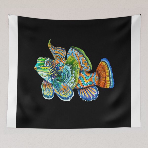 Item preview, Mandarinfish designed and sold by TimJeffsArt.