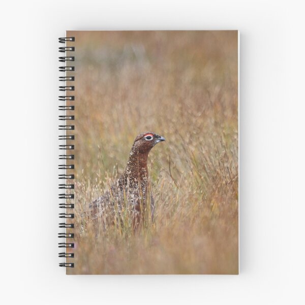 Item preview, Red grouse designed and sold by Fiona MacNab.
