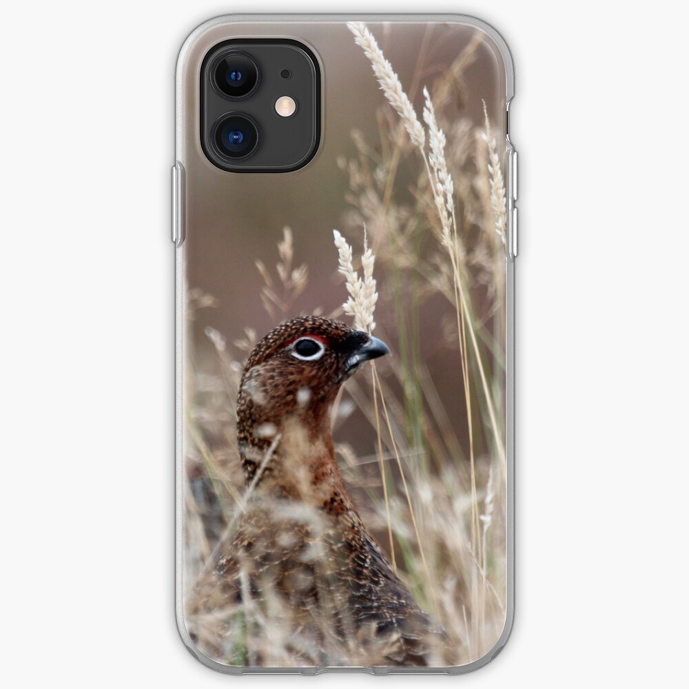 Grouse pose iPhone Case & Cover