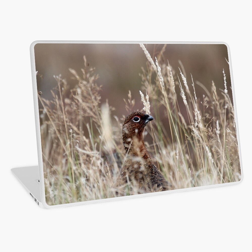 Item preview, Laptop Skin designed and sold by orcadia.