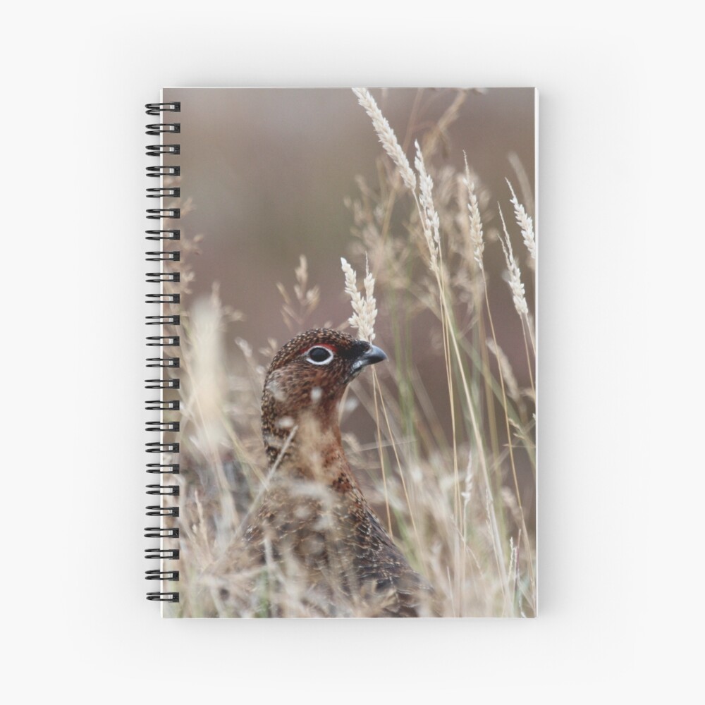 Item preview, Spiral Notebook designed and sold by orcadia.