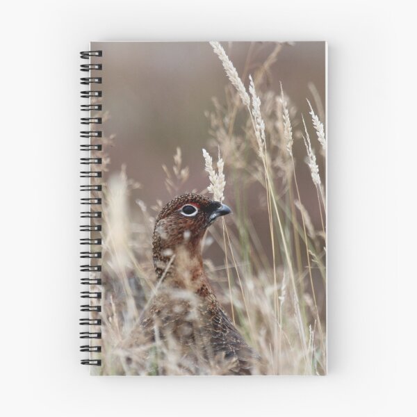Item preview, Grouse pose designed and sold by Fiona MacNab.