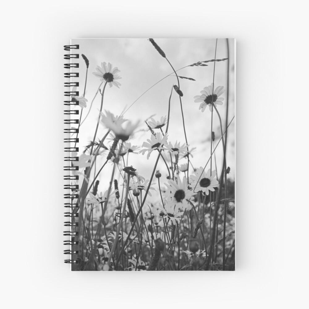 Oxeye daisies Spiral Notebook
