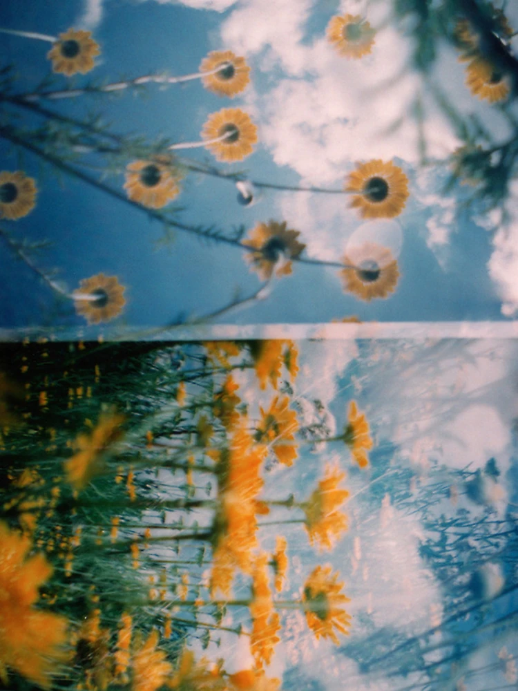 Thumbnail 5 of 5, iPhone Case, Multiple designed and sold by ePowell.