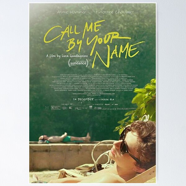 Call Me By Your Name Poster,Timothee Chalamet Merch,Canvas Wall Art For  Living Room Decor Aesthetic Vintage Posters & Prints Space Asthetic College