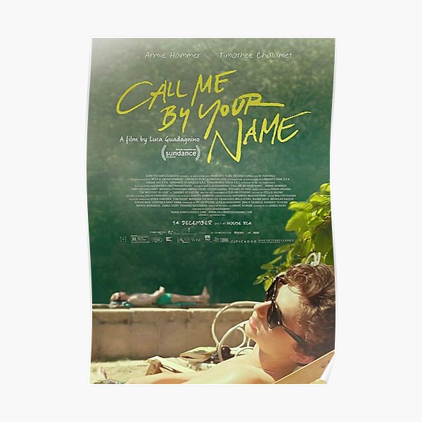 Call Me By Your Name 2 Poster