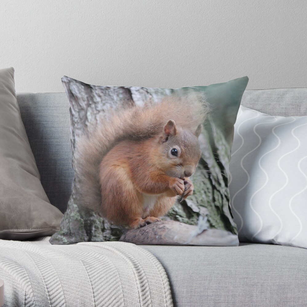 Red squirrel Throw Pillow