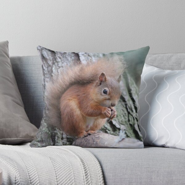 Red squirrel Throw Pillow