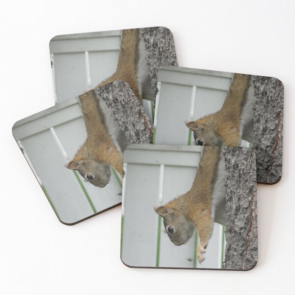 Item preview, Red squirrel going down a tree designed and sold by cuisinecat2.