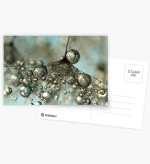 Dandy in Silver & Blue Postcards