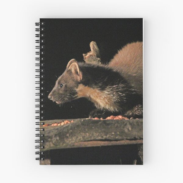 Item preview, Pine marten designed and sold by Fiona MacNab.